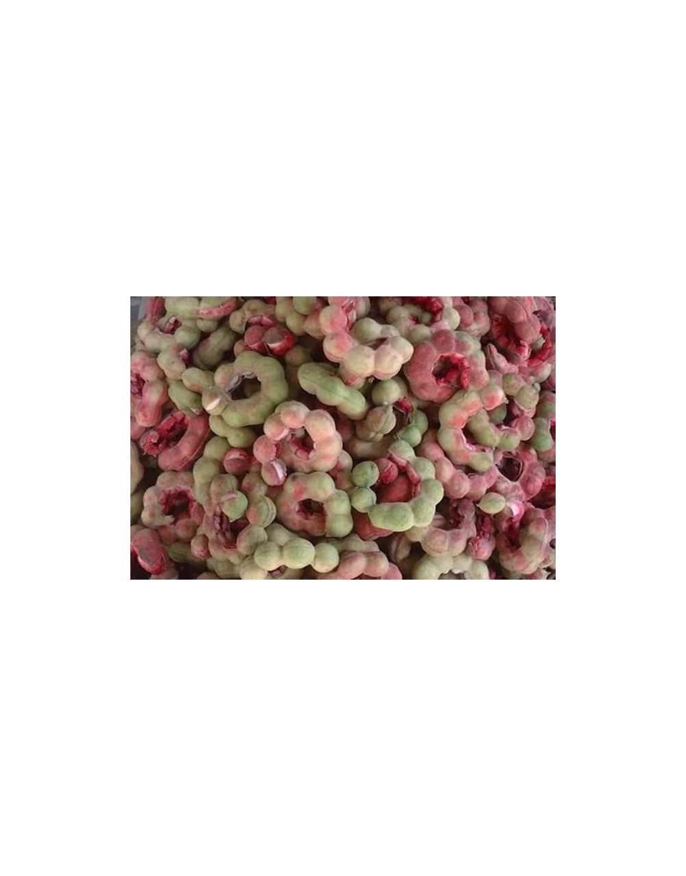 9a396708-4113-4c3e-aedb-ad792258047c