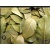 ce6266f5-5d90-44da-8a53-ba92f0ac3ae7